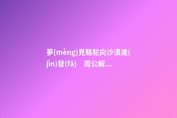 夢(mèng)見駱駝向沙漠進(jìn)發(fā)　周公解夢(mèng)之夢(mèng)到駱駝向沙漠進(jìn)發(fā)